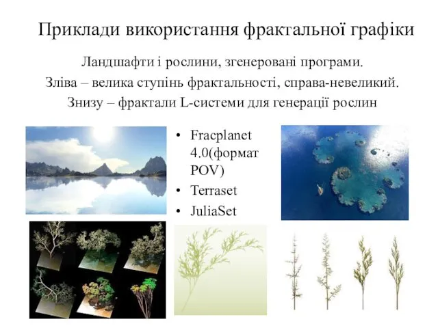 Приклади використання фрактальної графіки Ландшафти і рослини, згенеровані програми. Зліва