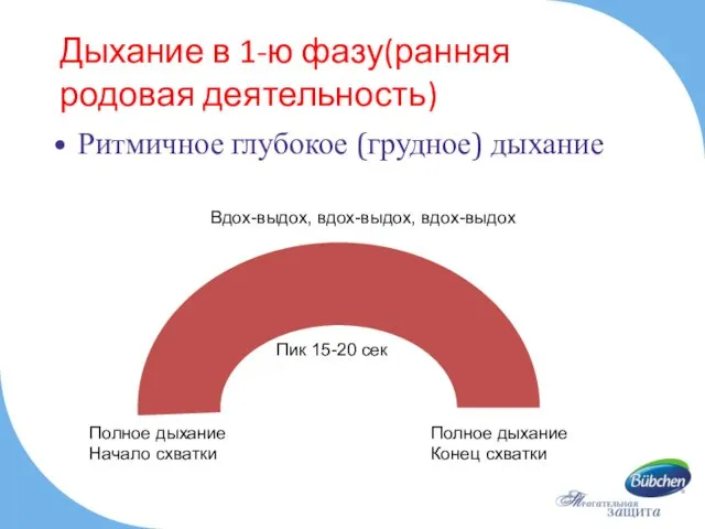 Дыхание в 1-ю фазу(ранняя родовая деятельность) Ритмичное глубокое (грудное) дыхание