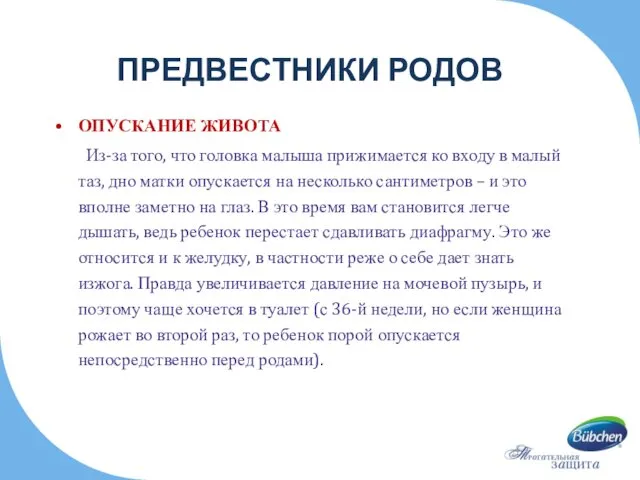 ПРЕДВЕСТНИКИ РОДОВ ОПУСКАНИЕ ЖИВОТА Из-за того, что головка малыша прижимается