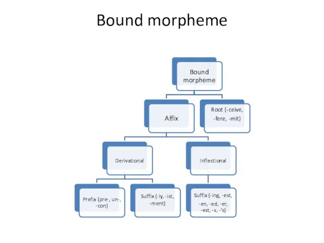 Bound morpheme