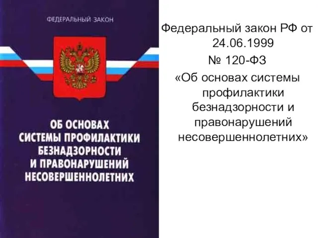 Федеральный закон РФ от 24.06.1999 № 120-ФЗ «Об основах системы профилактики безнадзорности и правонарушений несовершеннолетних»