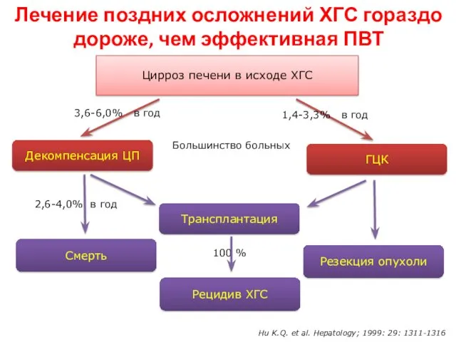 Лечение поздних осложнений ХГС гораздо дороже, чем эффективная ПВТ Hu