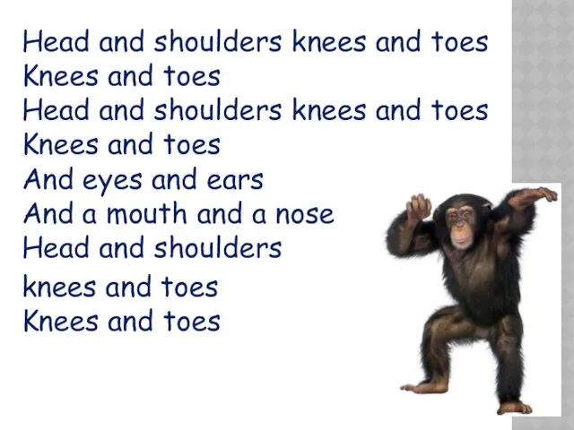 Head and shoulders knees and toes Knees and toes Head