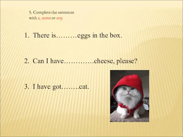 5. Complete the sentences with a, some or any. There
