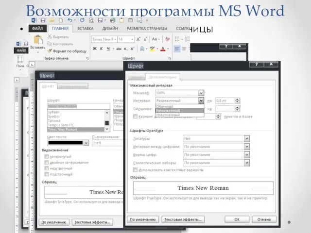 Возможности программы MS Word Изменение параметров страницы Изменение начертания и размера символов, дополнительных параметров шрифта