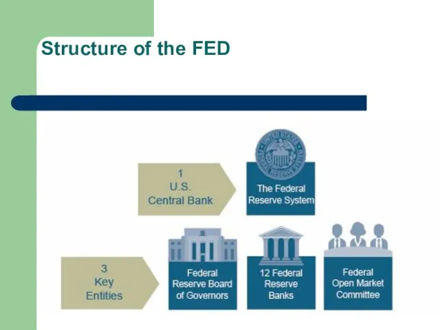 Structure of the FED