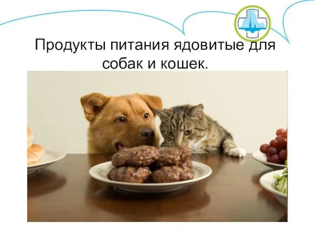 Продукты питания ядовитые для собак и кошек.