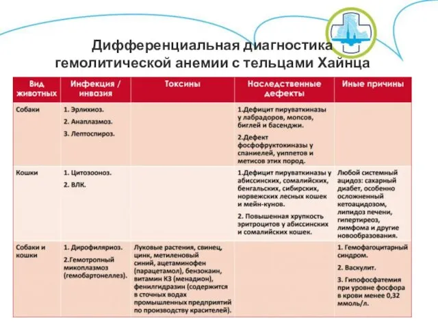 Дифференциальная диагностика гемолитической анемии с тельцами Хайнца