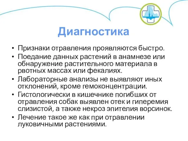 Признаки отравления проявляются быстро. Поедание данных растений в анамнезе или