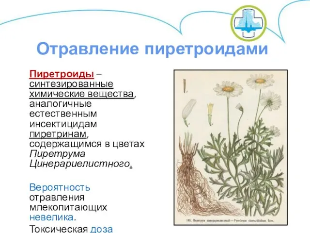 Пиретроиды – синтезированные химические вещества, аналогичные естественным инсектицидам пиретринам, содержащимся