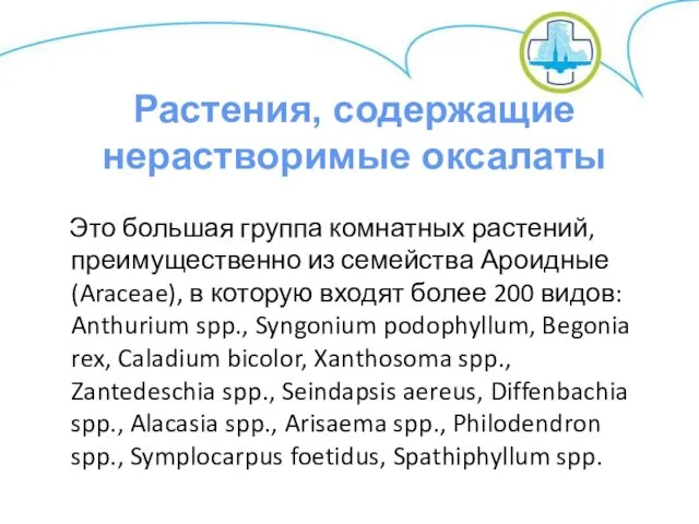 Это большая группа комнатных растений, преимущественно из семейства Ароидные (Araceae),