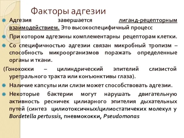 Факторы адгезии Адгезия завершается лиганд-рецепторным взаимодействием. Это высокоспецифичный процесс При