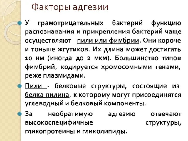 Факторы адгезии У грамотрицательных бактерий функцию распознавания и прикрепления бактерий