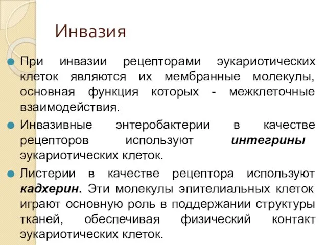 Инвазия При инвазии рецепторами эукариотических клеток являются их мембранные молекулы,