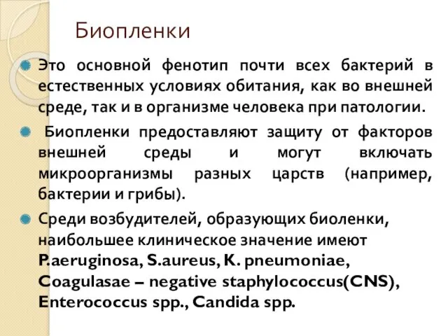 Биопленки Это основной фенотип почти всех бактерий в естественных условиях