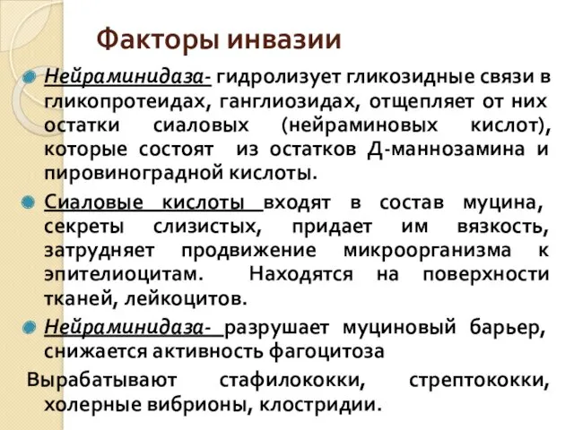 Факторы инвазии Нейраминидаза- гидролизует гликозидные связи в гликопротеидах, ганглиозидах, отщепляет