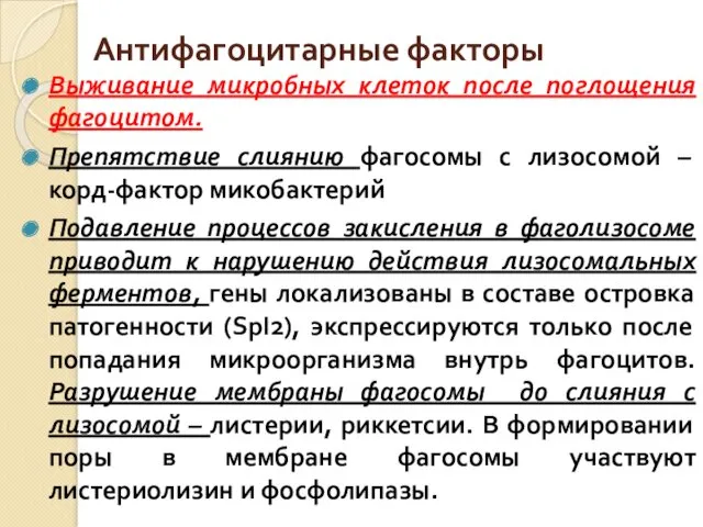 Антифагоцитарные факторы Выживание микробных клеток после поглощения фагоцитом. Препятствие слиянию