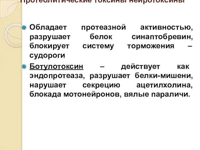 Протеолитические токсины нейротоксины Обладает протеазной активностью, разрушает белок синаптобревин, блокирует