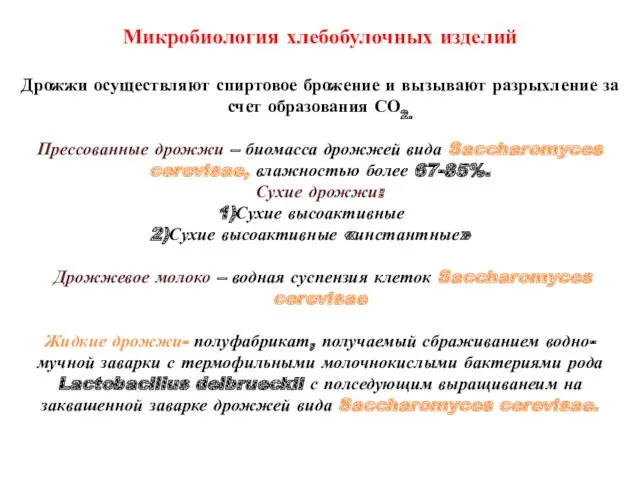 Микробиология хлебобулочных изделий Дрожжи осуществляют спиртовое брожение и вызывают разрыхление