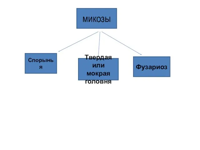 микозы Спорынья Твердая или мокрая головня Фузариоз