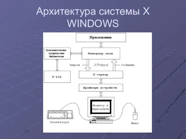 Архитектура системы X WINDOWS