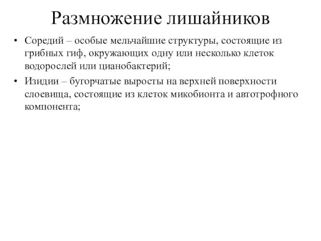 Размножение лишайников Соредий – особые мельчайшие структуры, состоящие из грибных