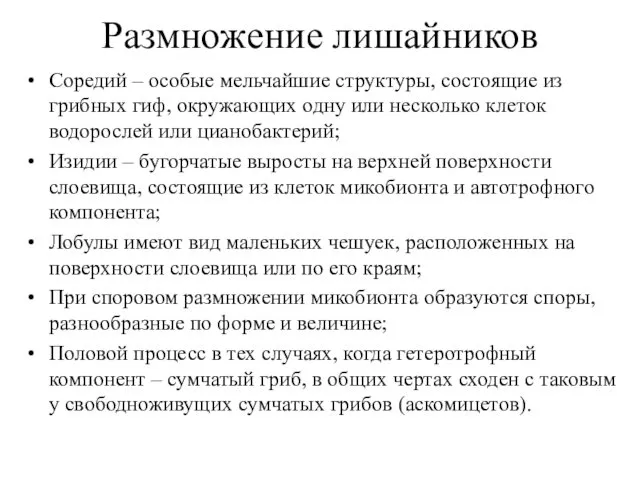 Размножение лишайников Соредий – особые мельчайшие структуры, состоящие из грибных