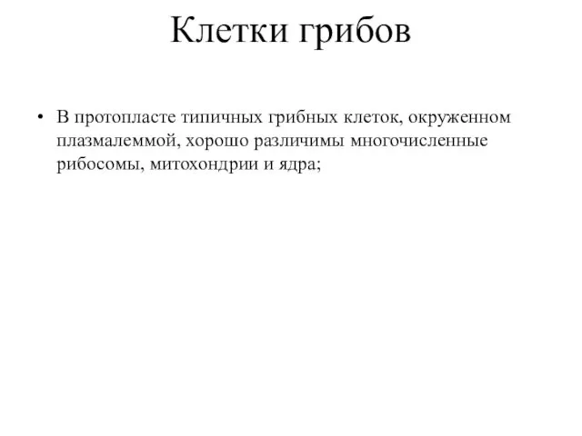 Клетки грибов В протопласте типичных грибных клеток, окруженном плазмалеммой, хорошо