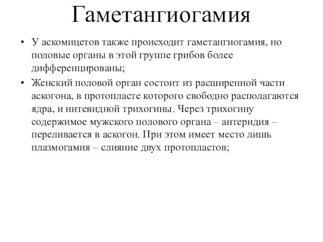 Гаметангиогамия У аскомицетов также происходит гаметангиогамия, но половые органы в