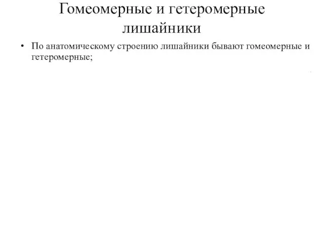 Гомеомерные и гетеромерные лишайники По анатомическому строению лишайники бывают гомеомерные