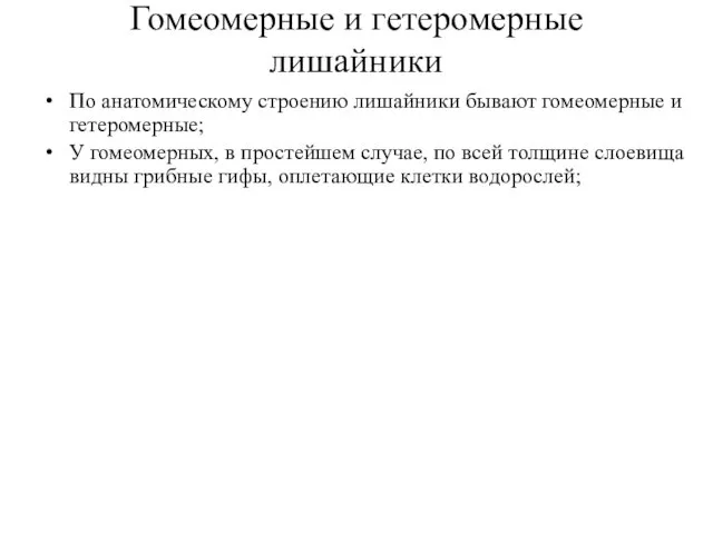 Гомеомерные и гетеромерные лишайники По анатомическому строению лишайники бывают гомеомерные