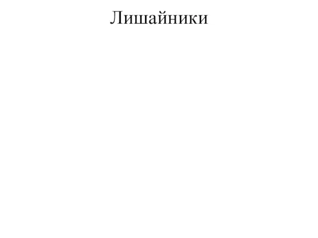 Лишайники Лишайники могут очень быстро поглощать влагу, причем их масса