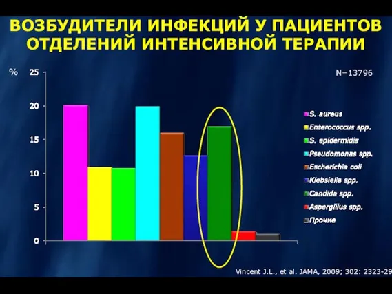 ВОЗБУДИТЕЛИ ИНФЕКЦИЙ У ПАЦИЕНТОВ ОТДЕЛЕНИЙ ИНТЕНСИВНОЙ ТЕРАПИИ N=13796 Vincent J.L.,