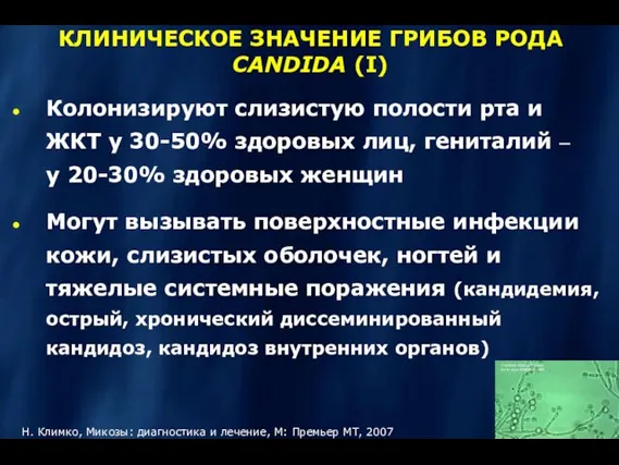 Колонизируют слизистую полости рта и ЖКТ у 30-50% здоровых лиц,