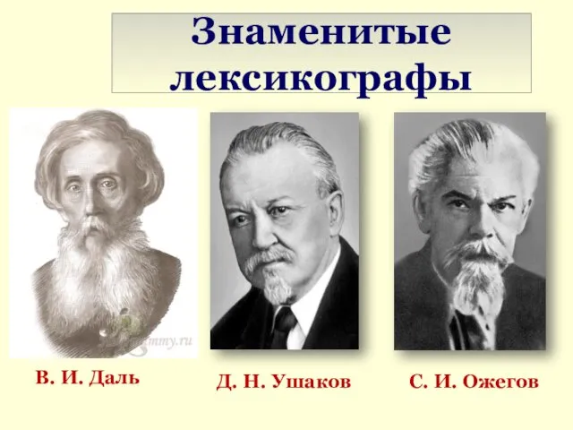 Знаменитые лексикографы В. И. Даль С. И. Ожегов Д. Н. Ушаков