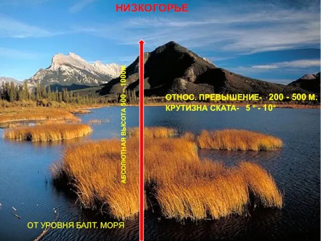 НИЗКОГОРЬЕ АБСОЛЮТНАЯ ВЫСОТА 500 – 1000М.. ОТ УРОВНЯ БАЛТ. МОРЯ