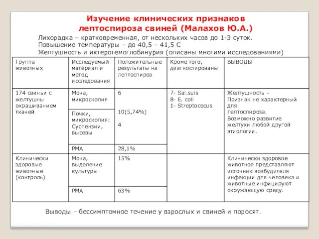 Изучение клинических признаков лептоспироза свиней (Малахов Ю.А.) Лихорадка – кратковременная,