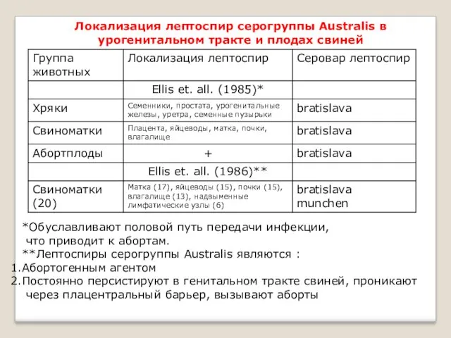 Локализация лептоспир серогруппы Australis в урогенитальном тракте и плодах свиней