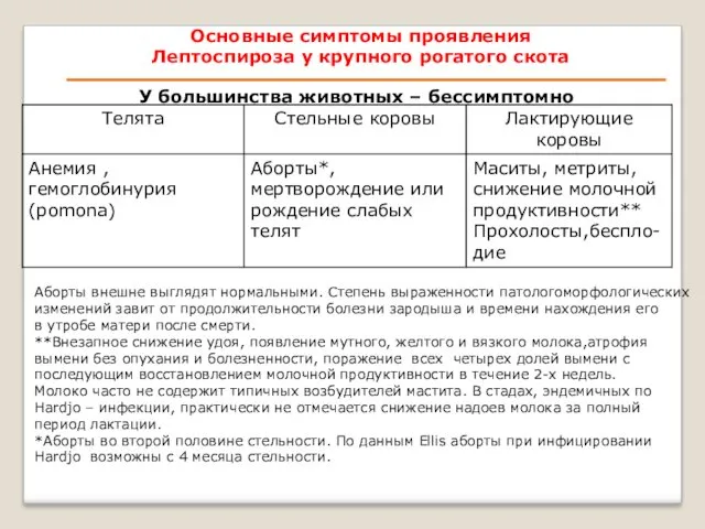 Основные симптомы проявления Лептоспироза у крупного рогатого скота У большинства