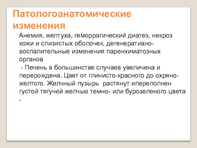 Патологоанатомические изменения Анемия, желтуха, геморрагический диатез, некроз кожи и слизистых