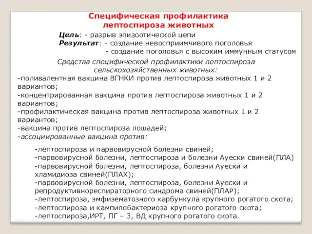 Специфическая профилактика лептоспироза животных Цель: - разрыв эпизоотической цепи Результат: