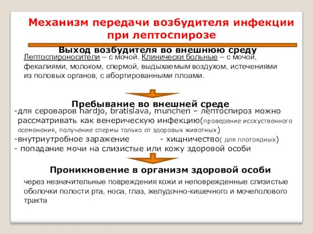 Механизм передачи возбудителя инфекции при лептоспирозе Выход возбудителя во внешнюю