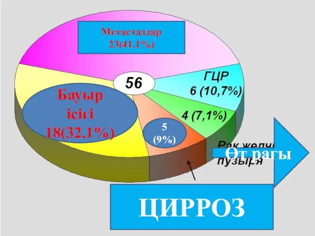 Метастаздар 23(41.1%) Өт рагы ЦИРРОЗ Бауыр ісігі 18(32.1%) 5 (9%)