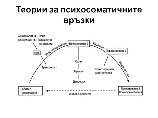 Теории за психосоматичните връзки