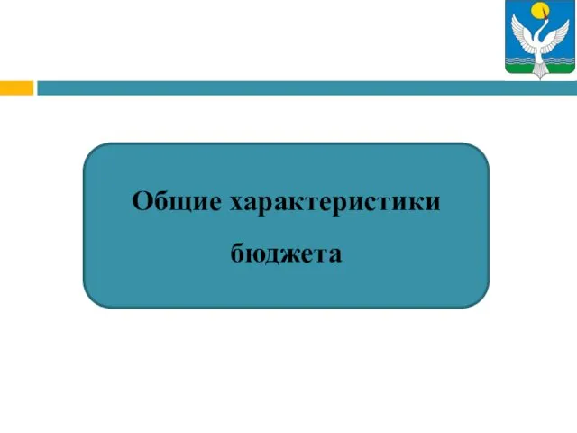 Общие характеристики бюджета