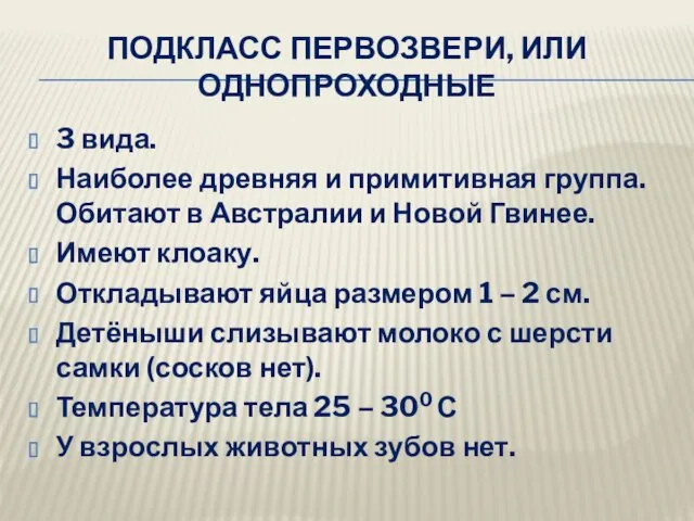 ПОДКЛАСС ПЕРВОЗВЕРИ, ИЛИ ОДНОПРОХОДНЫЕ 3 вида. Наиболее древняя и примитивная