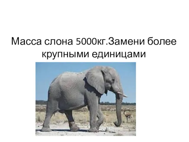 Масса слона 5000кг.Замени более крупными единицами