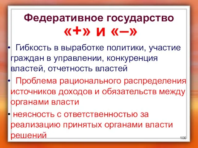 Федеративное государство «+» и «–» Гибкость в выработке политики, участие