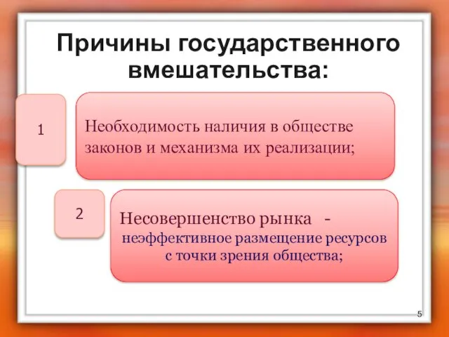 Причины государственного вмешательства: Необходимость наличия в обществе законов и механизма