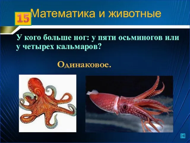 Математика и животные У кого больше ног: у пяти осьминогов или у четырех кальмаров? Одинаковое.